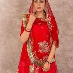 Red Banarsi Rajputi Suit | All Over Sequins & Aari Work | Jaipurio Designer Collection